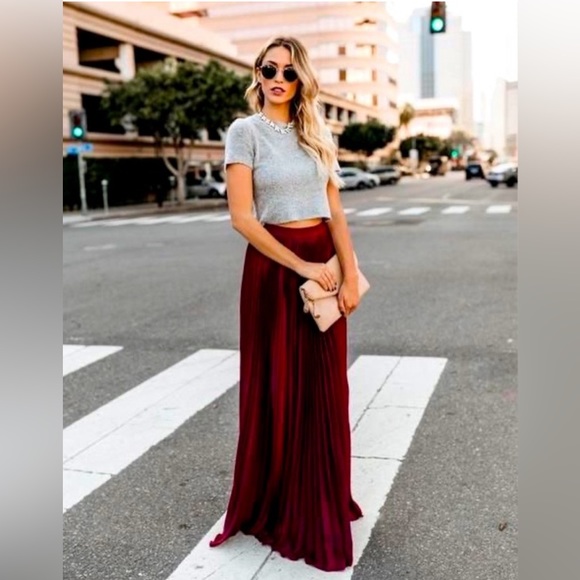 Vici Dresses & Skirts - VICI Collection - Pleated Velvet Maxi Skirt - Small